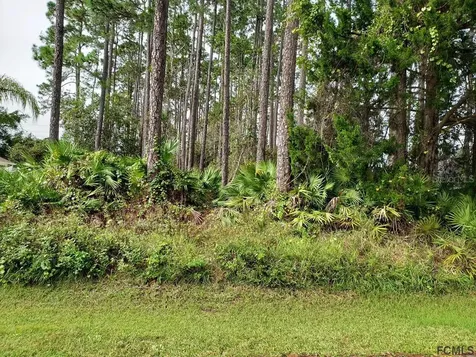 6 Ripley Place Palm Coast FL 32164