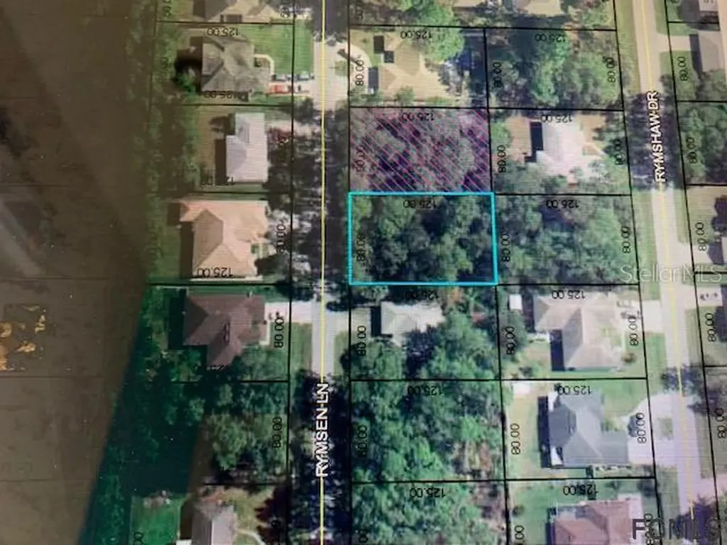 17 Rymsen Lane Palm Coast FL 32164