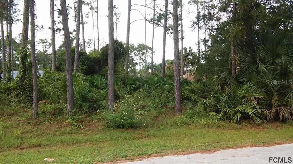 29 Porcupine Drive Palm Coast FL 32164