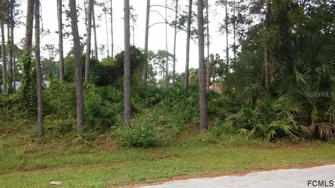 29 Porcupine Drive Palm Coast FL 32164