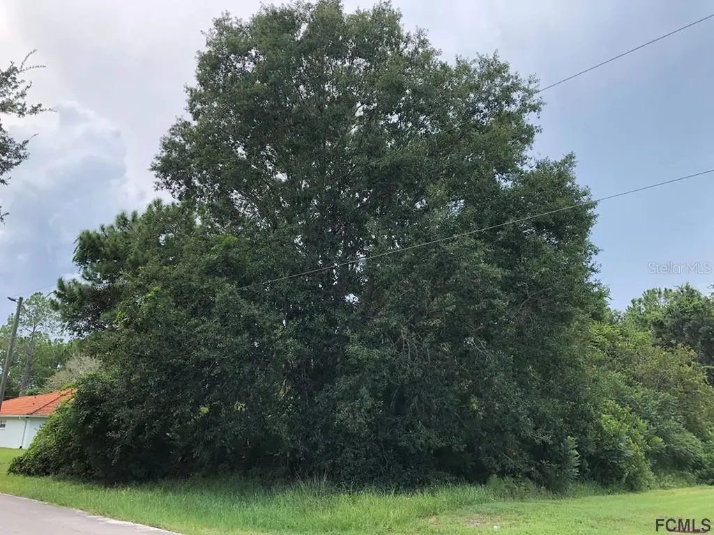 3 Philmont Lane Palm Coast FL 32164
