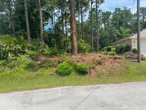 3 Eastmoor Lane Palm Coast FL 32164