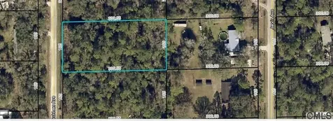 9610 Kirchherr Avenue Hastings FL 32145
