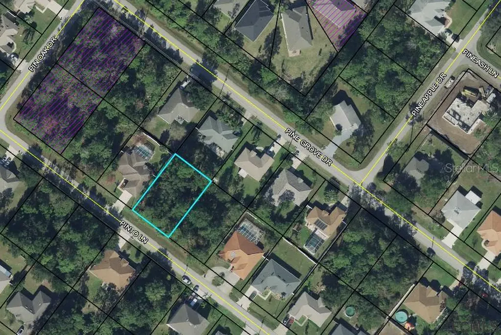 7 Pinto Lane Palm Coast FL 32164