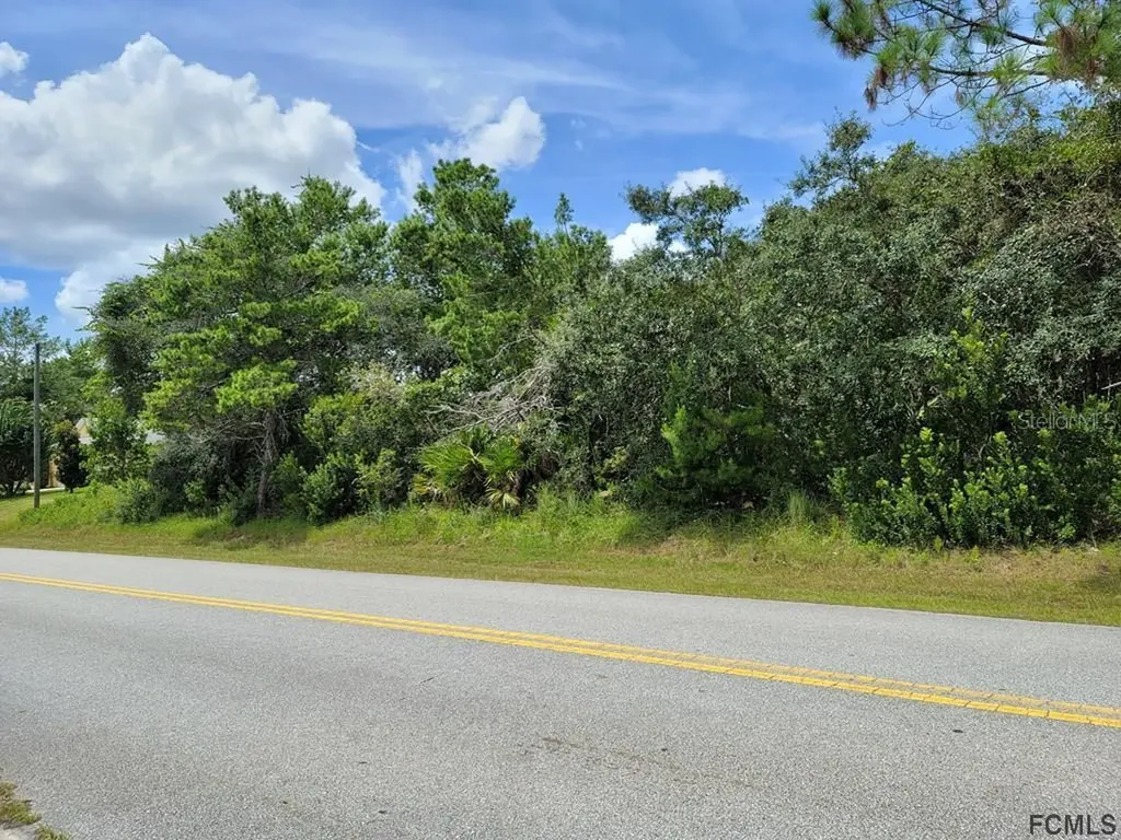 41 Farmsworth Drive Palm Coast FL 32137