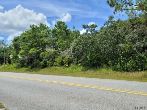 41 Farmsworth Drive Palm Coast FL 32137