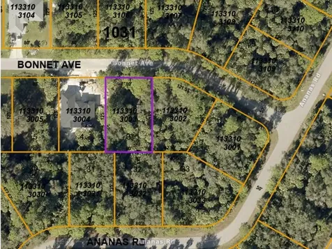 Lot 3 Bonnet Avenue North Port FL 34288