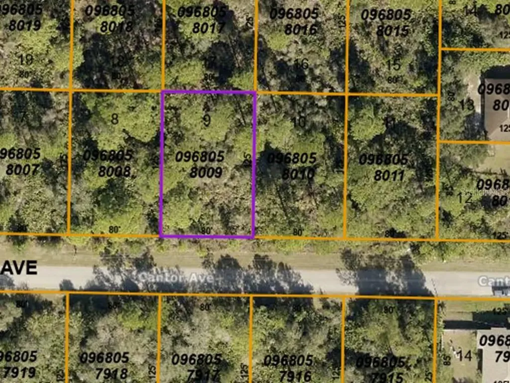 Lot 9 Cantor Avenue North Port FL 34291