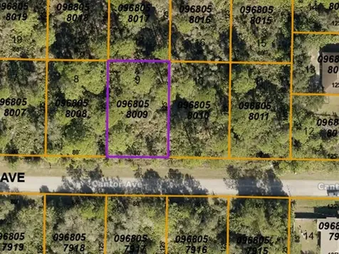Lot 9 Cantor Avenue North Port FL 34291
