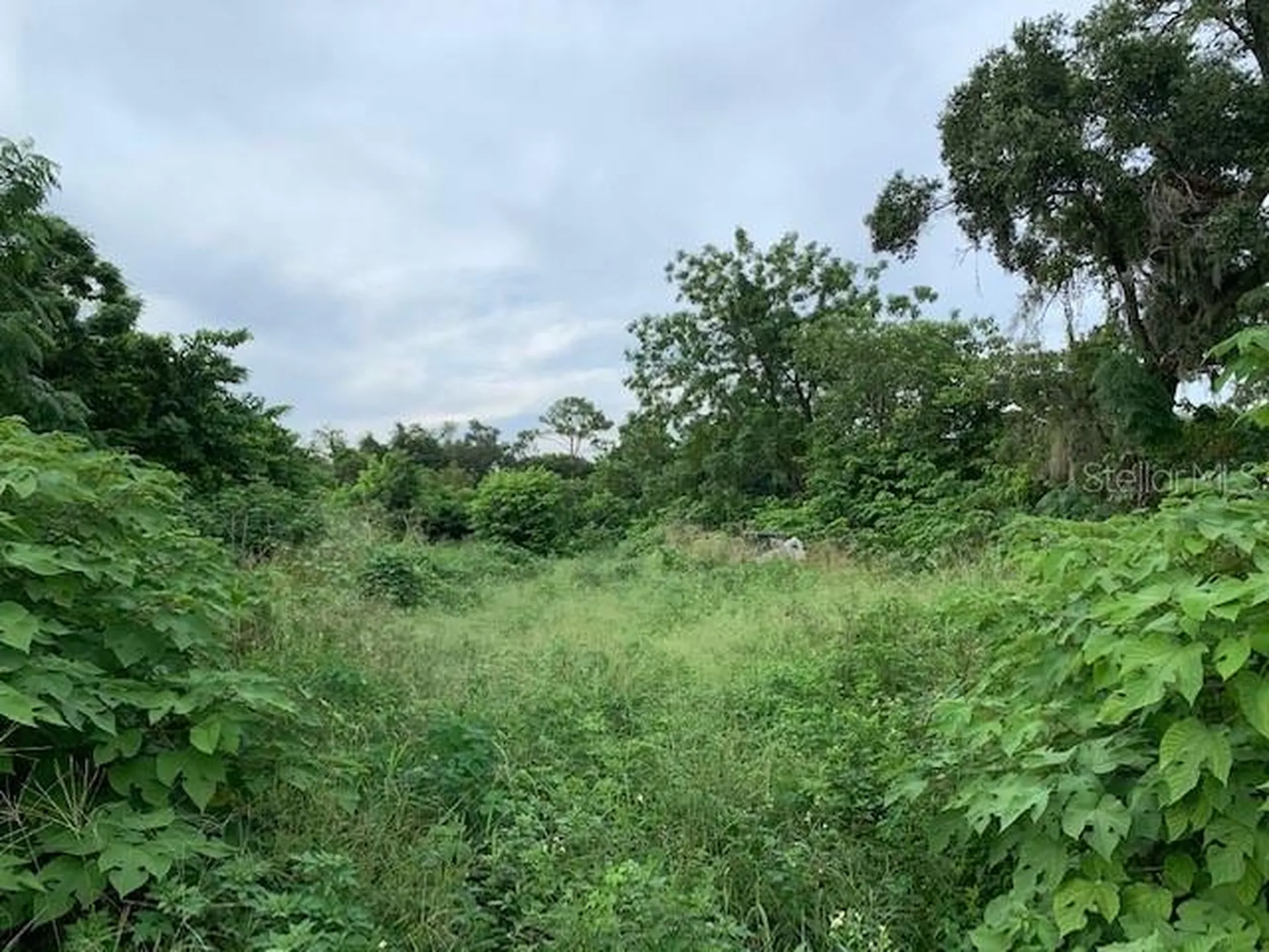 2607 E Semoran Boulevard Apopka FL 32703