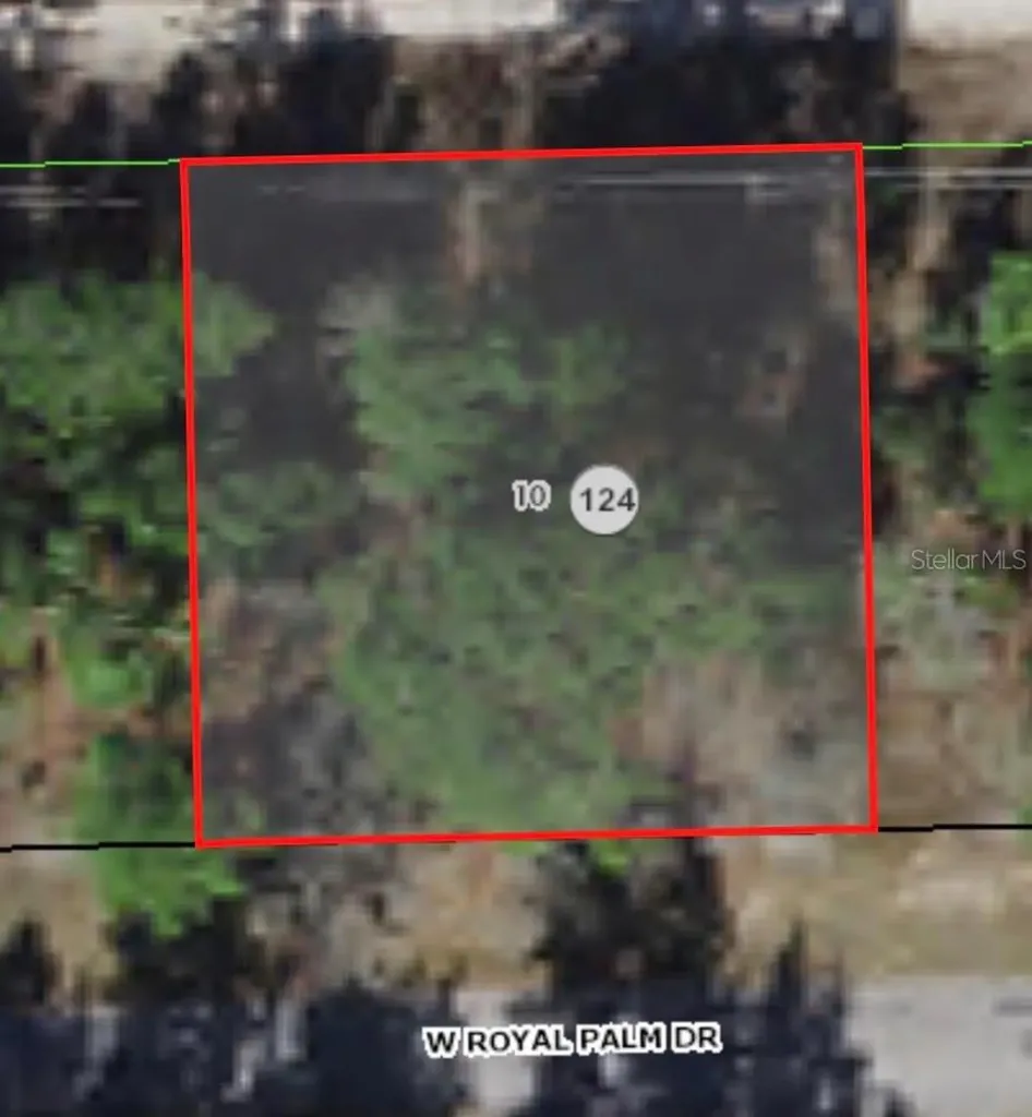 2671 W Royal Palm Drive Citrus Springs FL 34434