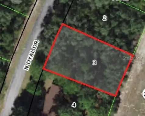 10195 N Dyal Drive Citrus Springs FL 34434