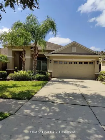 20800 Amanda Oak Court Land O Lakes FL 34638