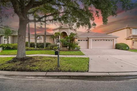 18118 Diamond Cove Court Tampa FL 33647