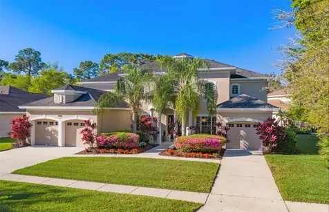 5116 Abisher Wood Lane Brandon FL 33511