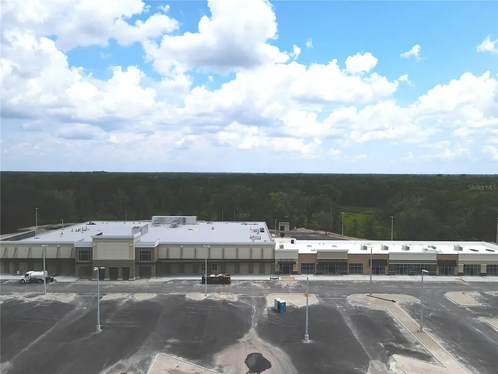 1035 Nashville Drive Wesley Chapel FL 33544