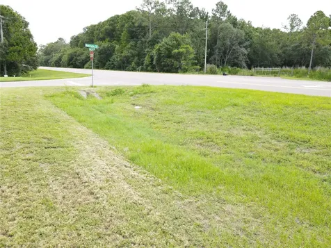 1035 Nashville Drive Wesley Chapel FL 33544
