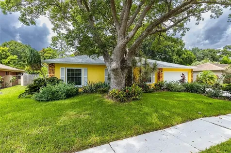 13308 Lake George Lane Tampa FL 33618