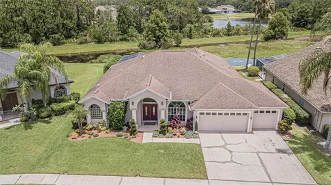 10027 Cypress Shadow Avenue Tampa FL 33647