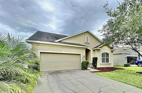 7738 Atwood Drive Wesley Chapel FL 33545