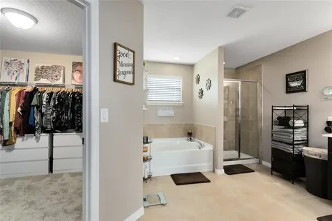 3705 Maidencain Street Clermont FL 34714