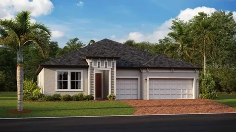 21317 Snowy Orchid Terrace Land O Lakes FL 34637
