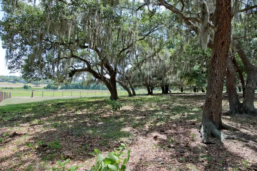 14704 Old Highway 50 Clermont FL 34711
