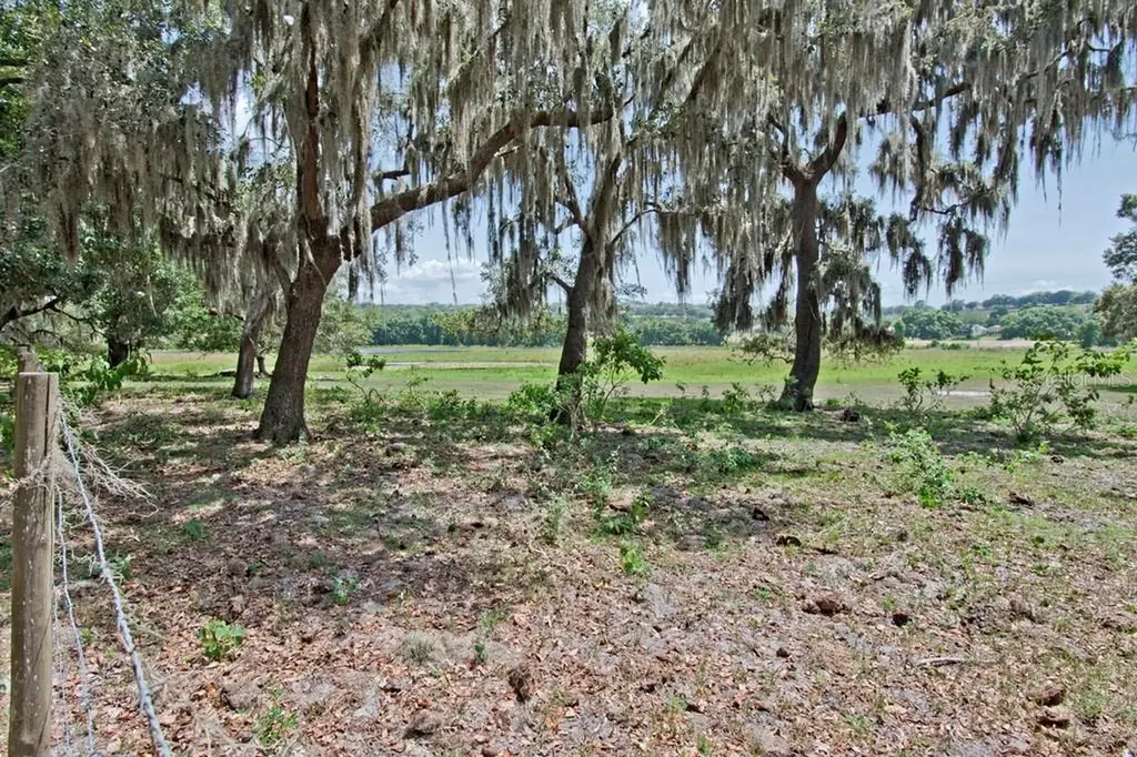 14704 Old Highway 50 Clermont FL 34711