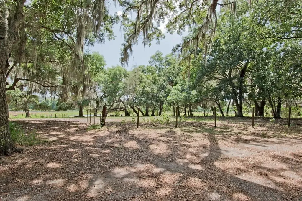 14704 Old Highway 50 Clermont FL 34711
