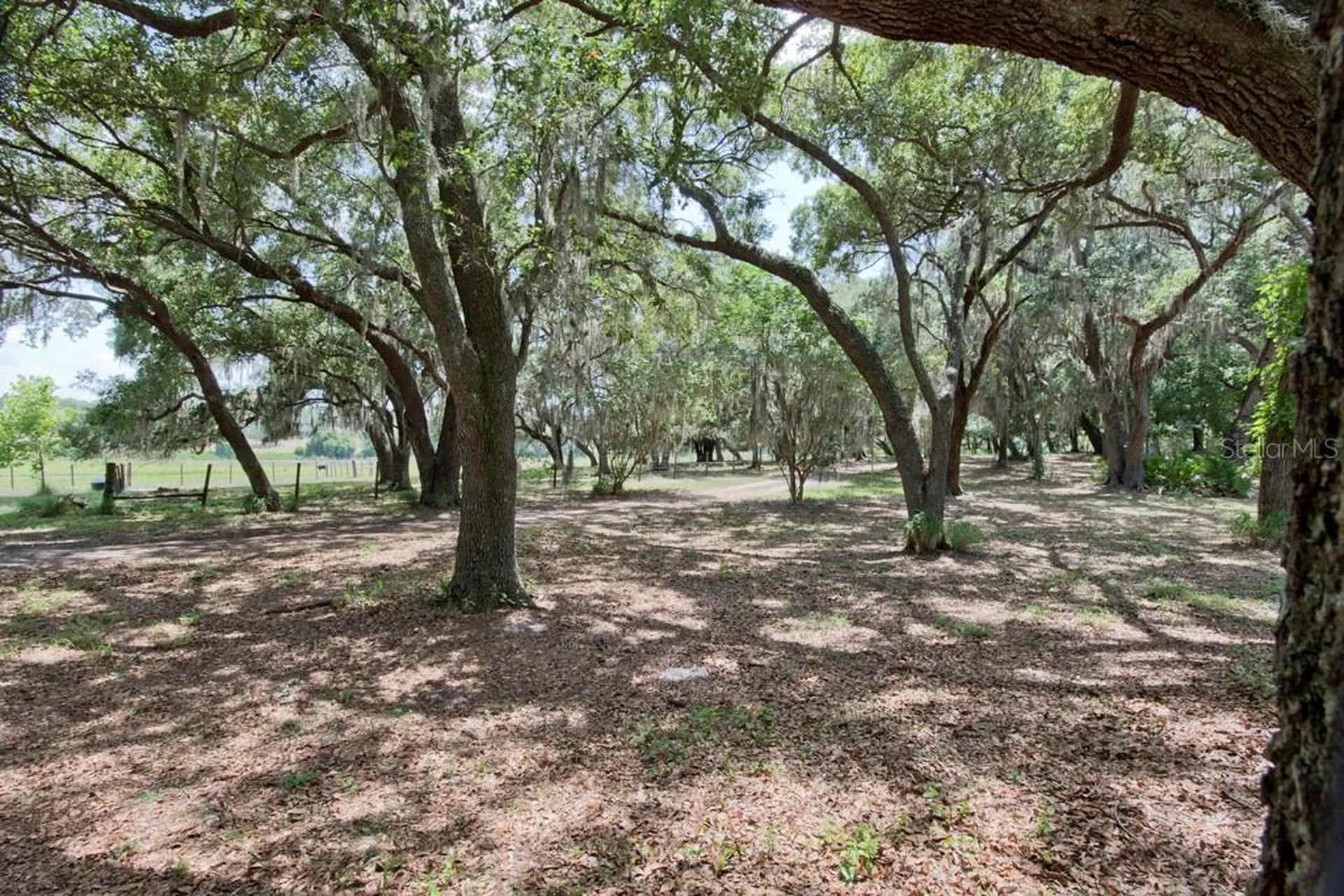 14704 Old Highway 50 Clermont FL 34711