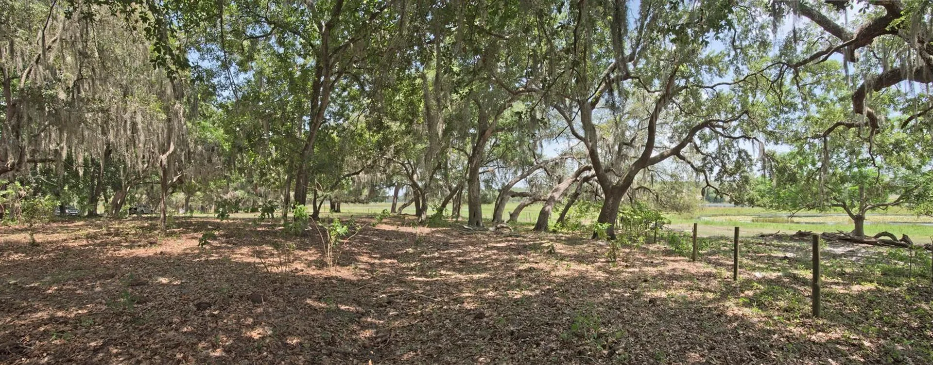 14704 Old Highway 50 Clermont FL 34711