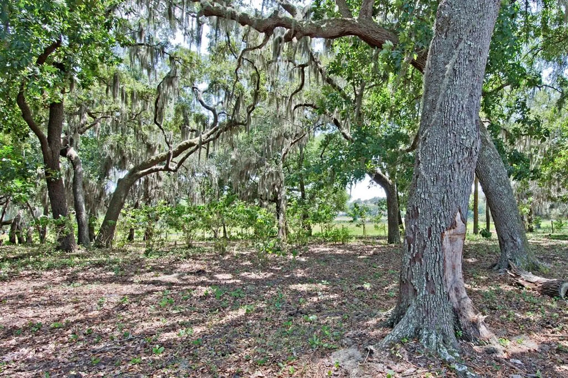 14704 Old Highway 50 Clermont FL 34711