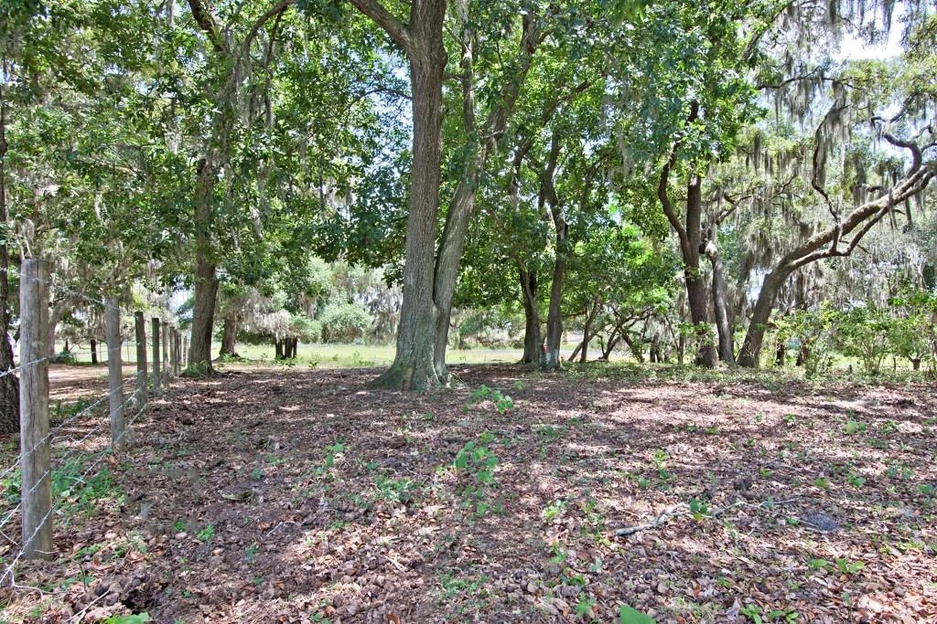 14704 Old Highway 50 Clermont FL 34711