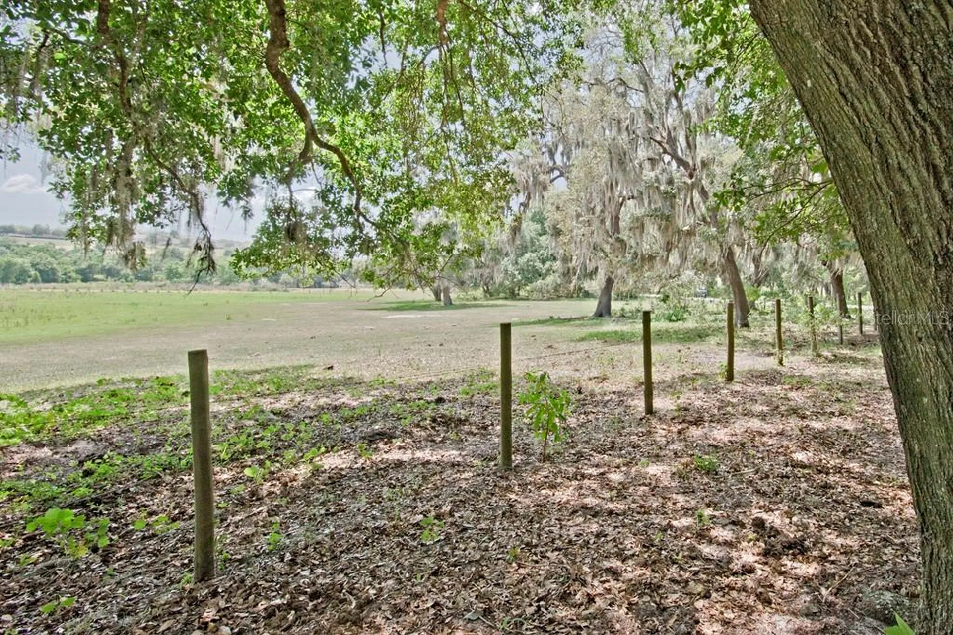 14704 Old Highway 50 Clermont FL 34711
