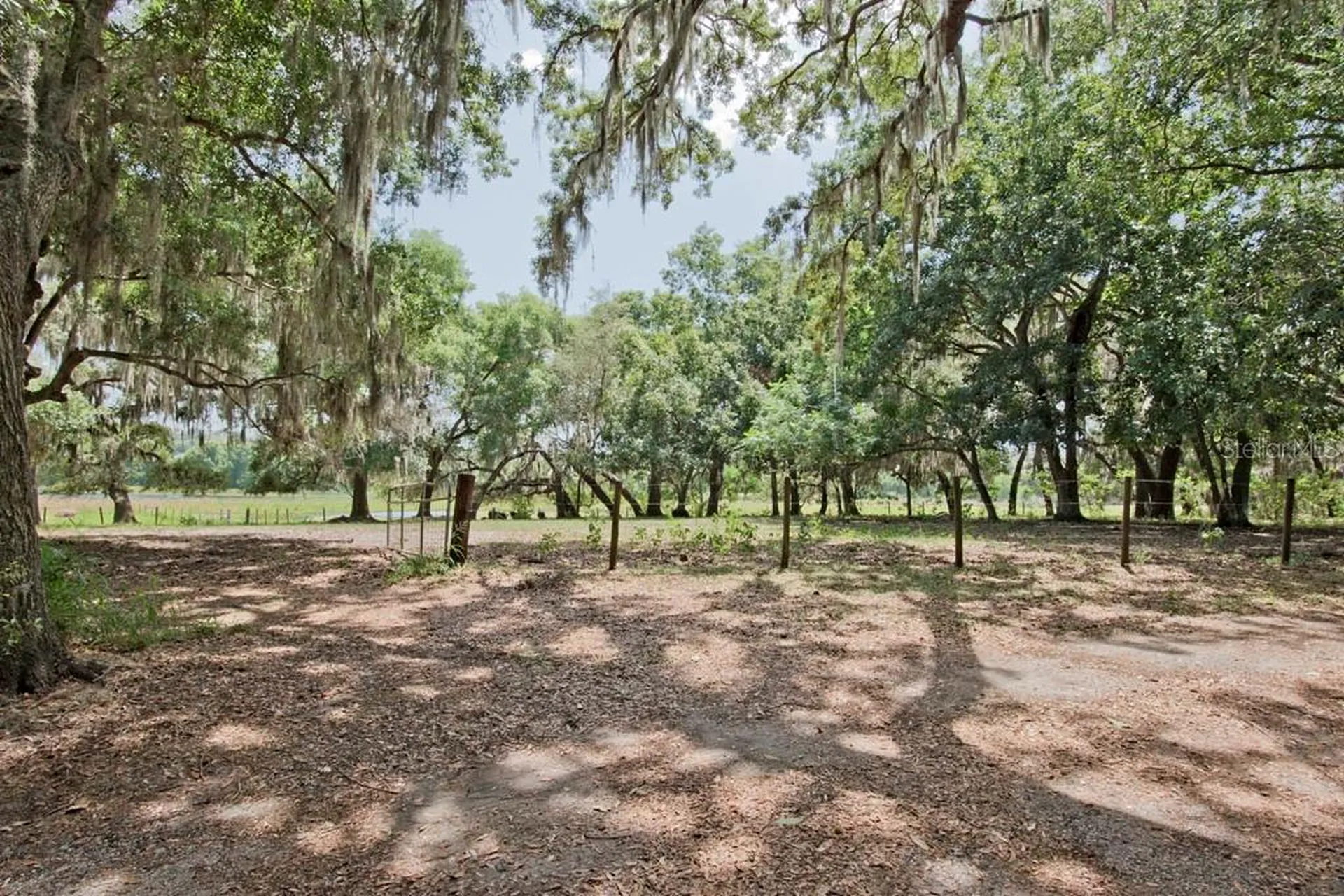 14704 Old Highway 50 Clermont FL 34711