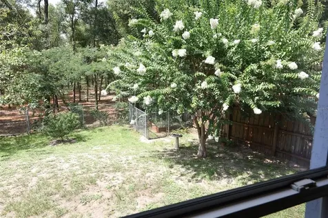 2819 NE 25th Street Ocala FL 34470