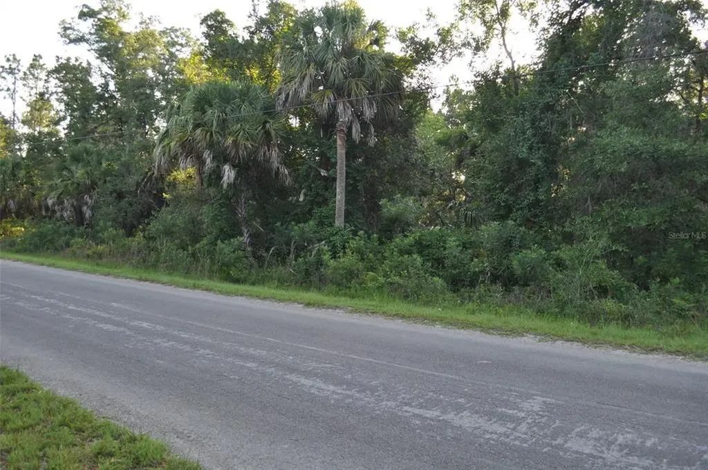 7723 N Ira Martin Avenue Crystal River FL 34428