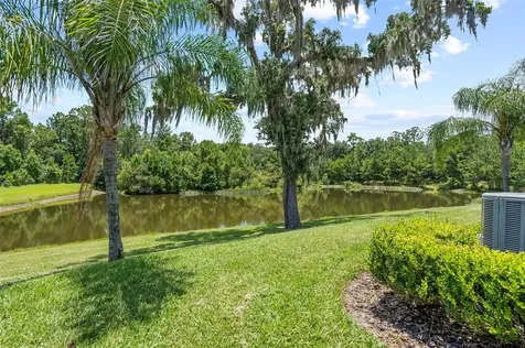 19411 Fort King Run Brooksville FL 34601