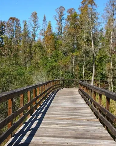 8526 Bluevine Sky Drive Land O Lakes FL 34637