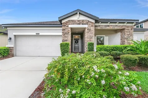 8526 Bluevine Sky Drive Land O Lakes FL 34637