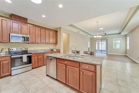 11411 Amapola Bloom Court Riverview FL 33579