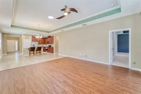11411 Amapola Bloom Court Riverview FL 33579