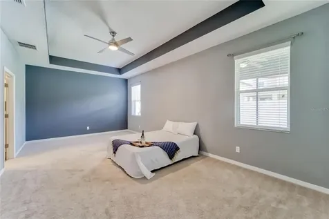 11411 Amapola Bloom Court Riverview FL 33579