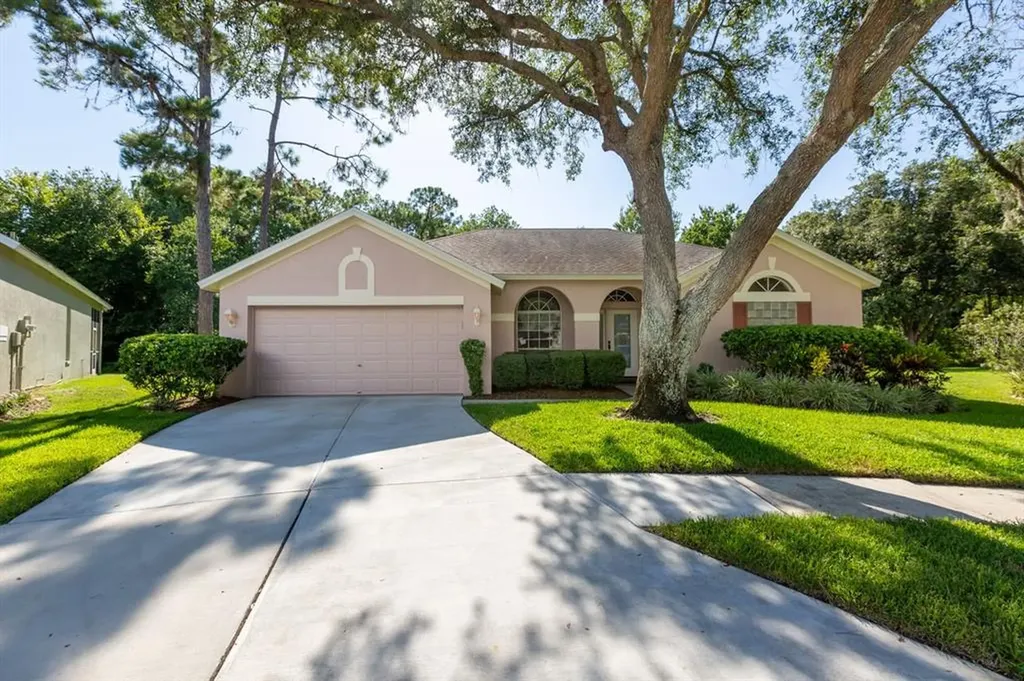 10216 Newington Place Tampa FL 33626
