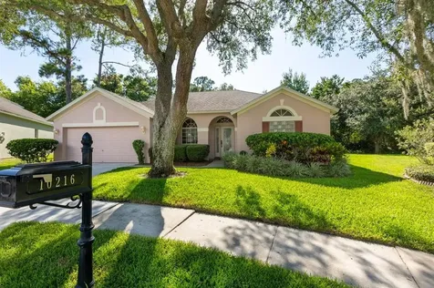 10216 Newington Place Tampa FL 33626