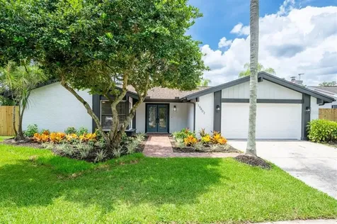 15402 Deerglen Drive Tampa FL 33624