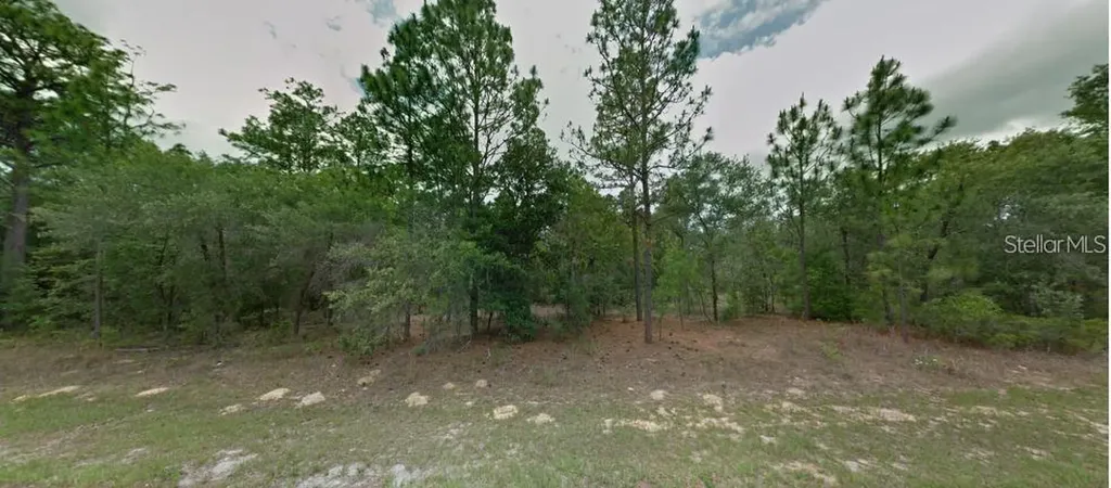 7998 N Hale Road Citrus Springs FL 34434
