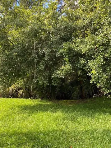4526 Saddleworth Circle Orlando FL 32826