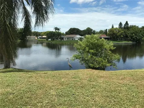 3401 Springfield Drive Holiday FL 34691