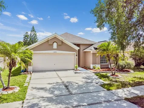 10273 Oasis Palm Drive Tampa FL 33615